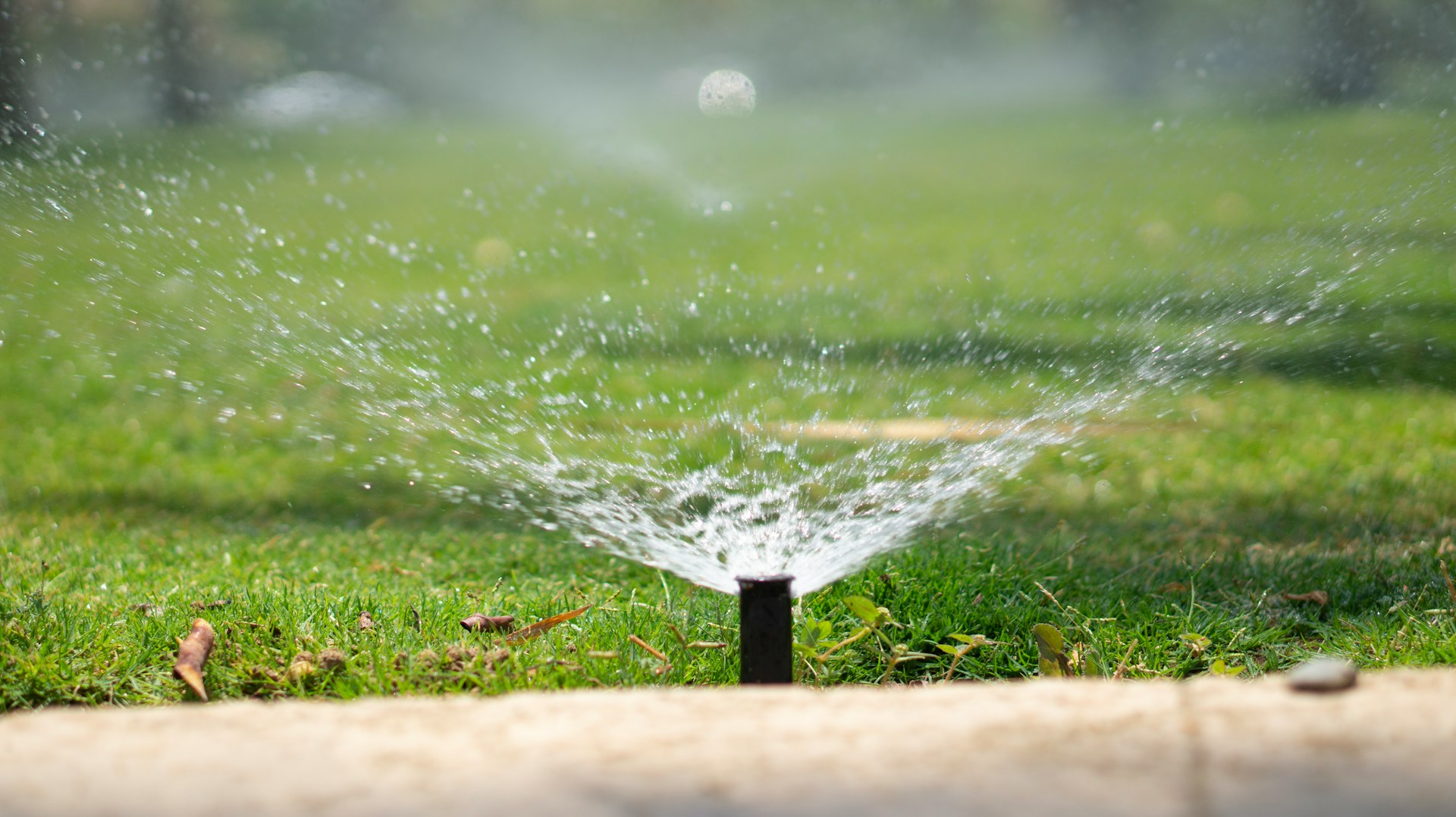 lawn-sprinkler-head-watering-garden