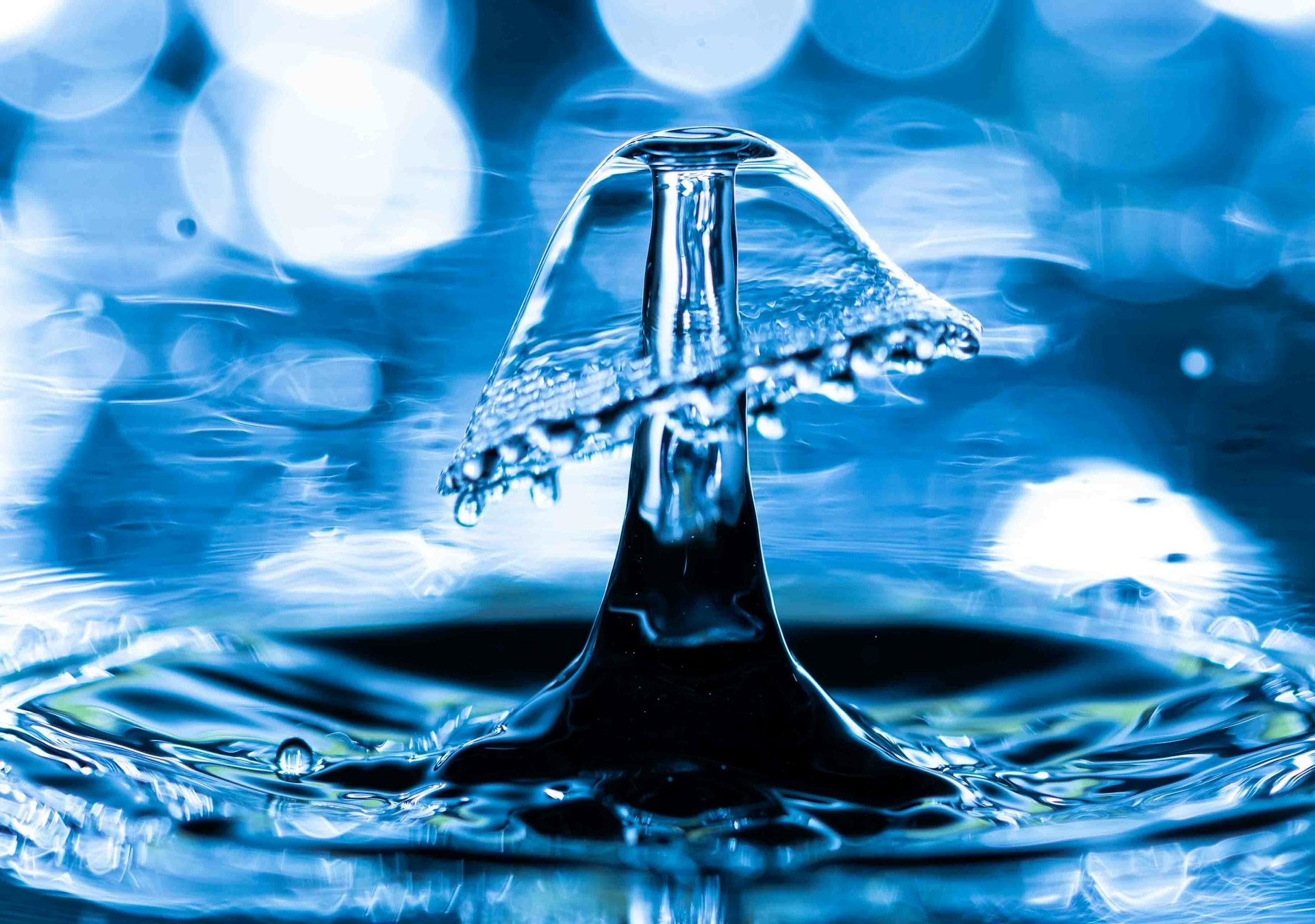 backflow-testing-clean-drinking-water-lawn-irrigation