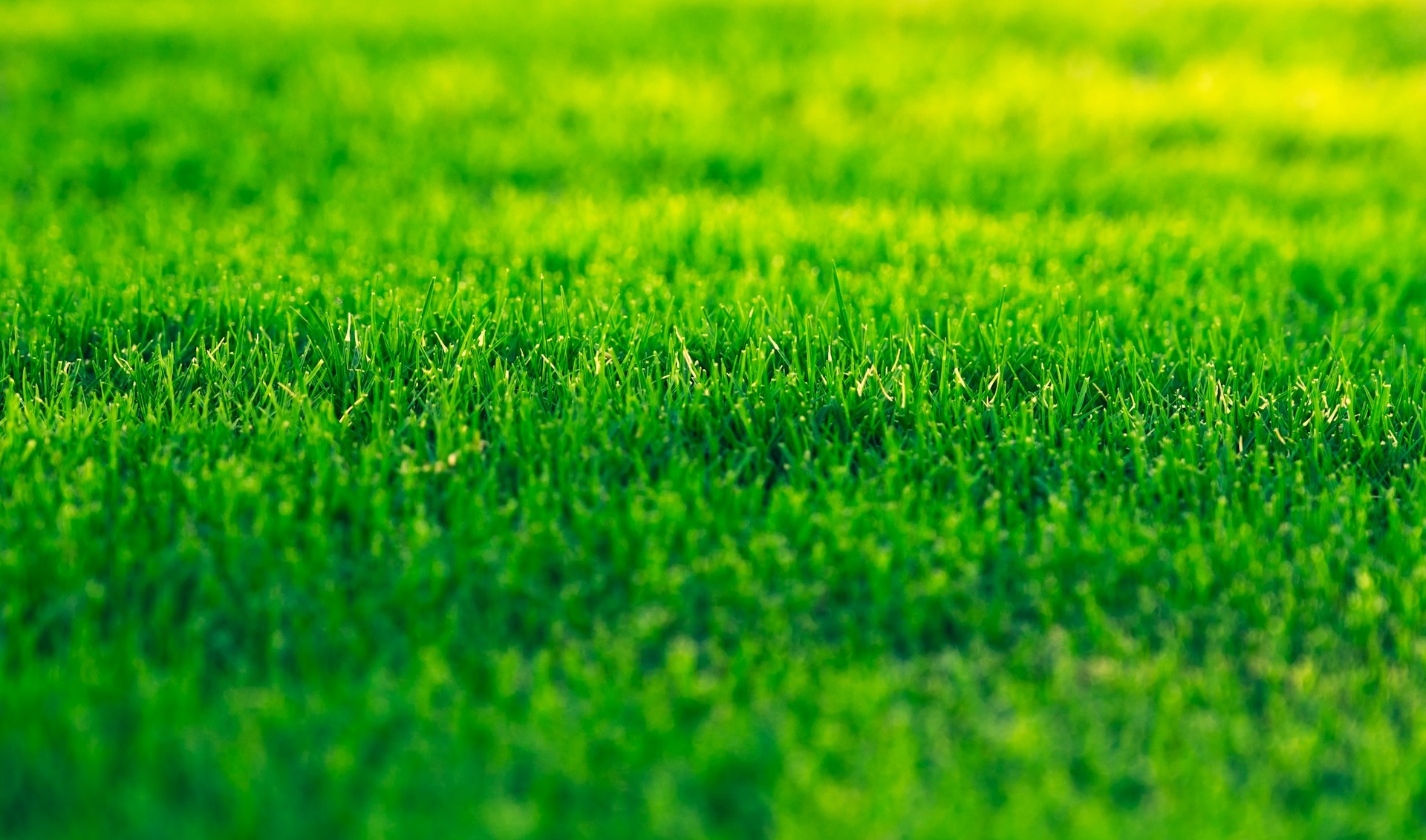 spring-startup-lawn-irrigation